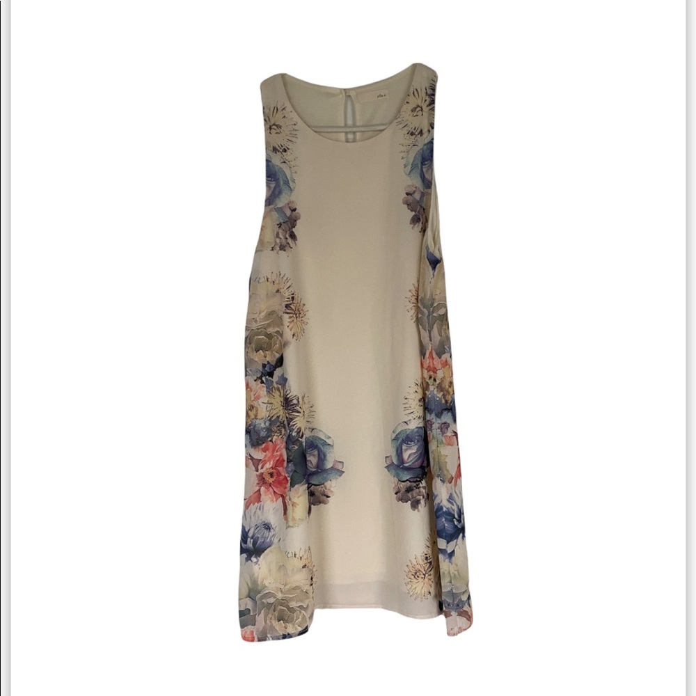 Boutique Spring Swing Dress